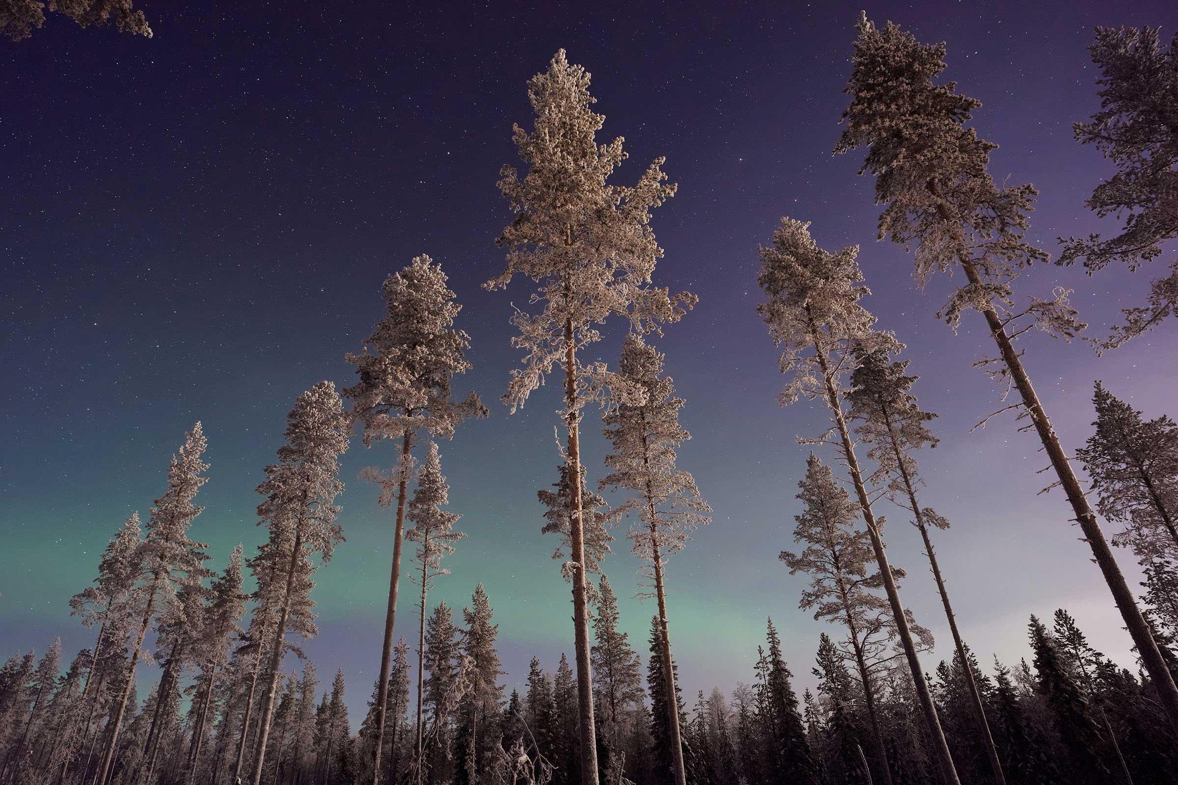 northern light
